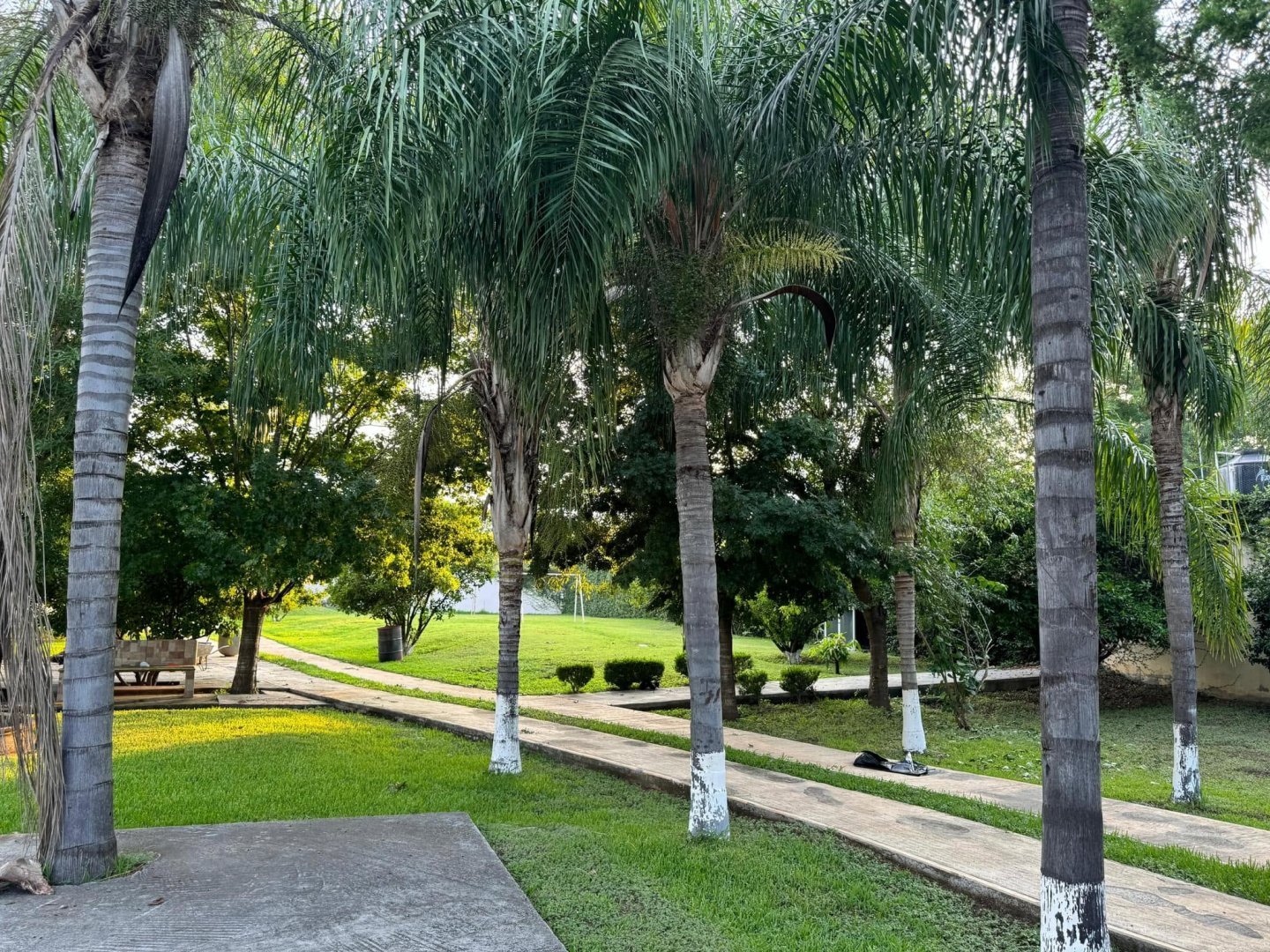 Quinta en Renta