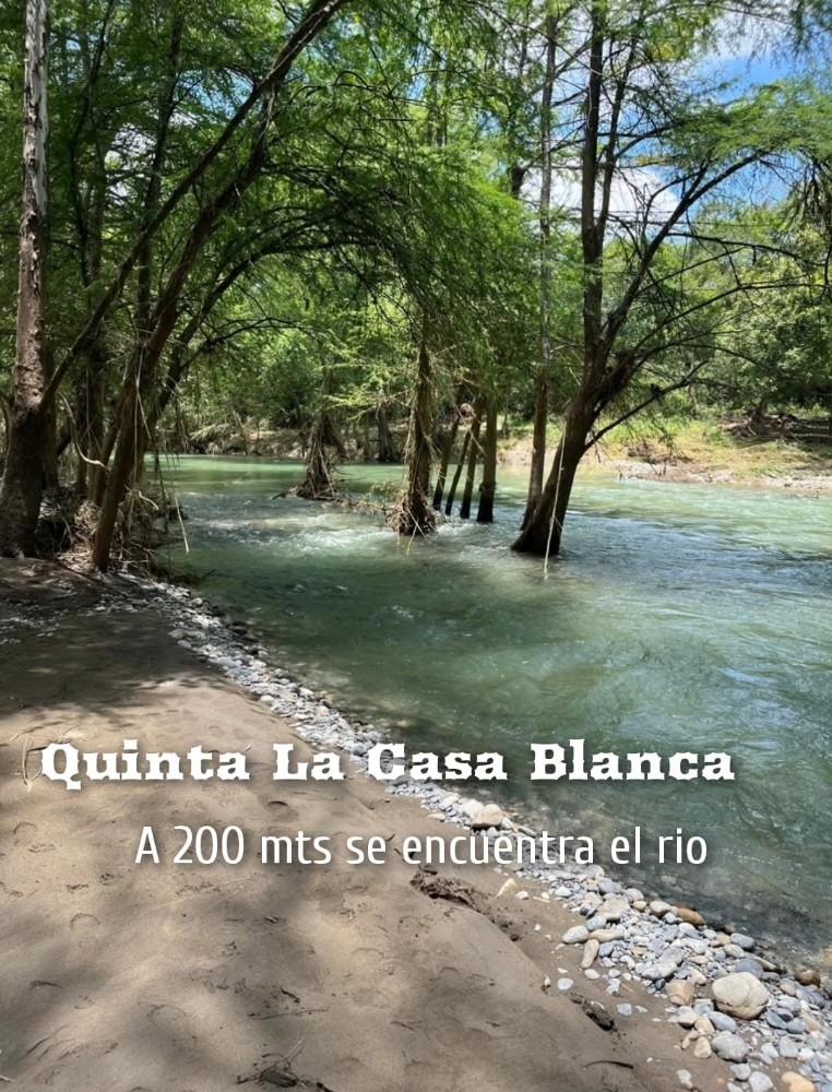 Quinta en Renta
