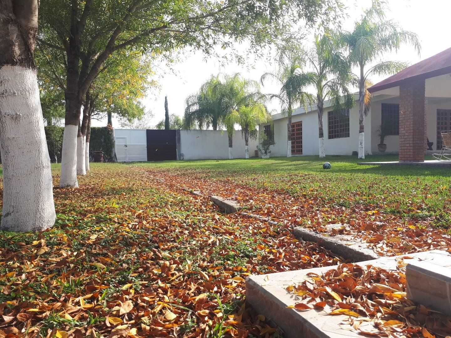 Quinta en Renta