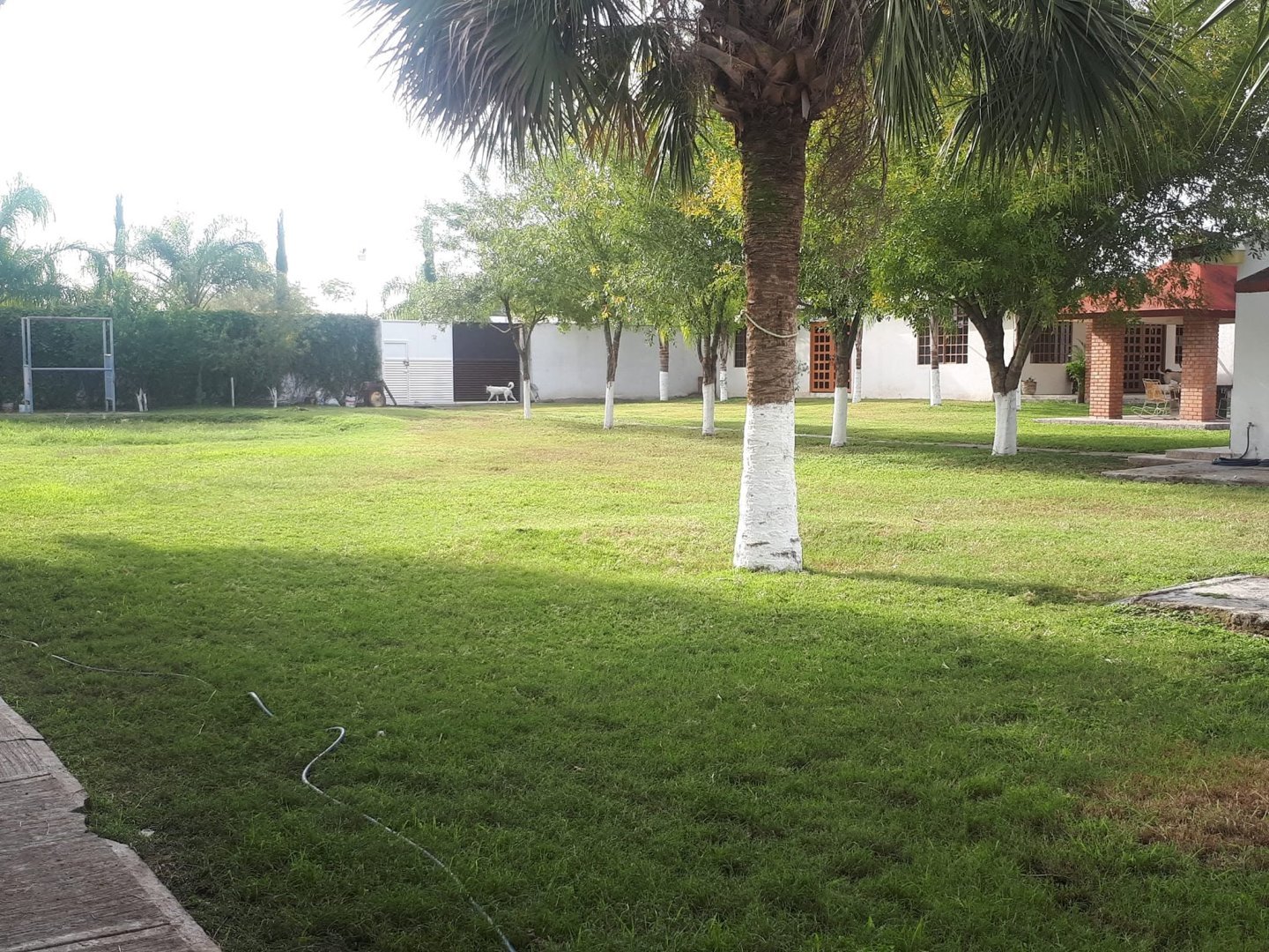 Quinta en Renta