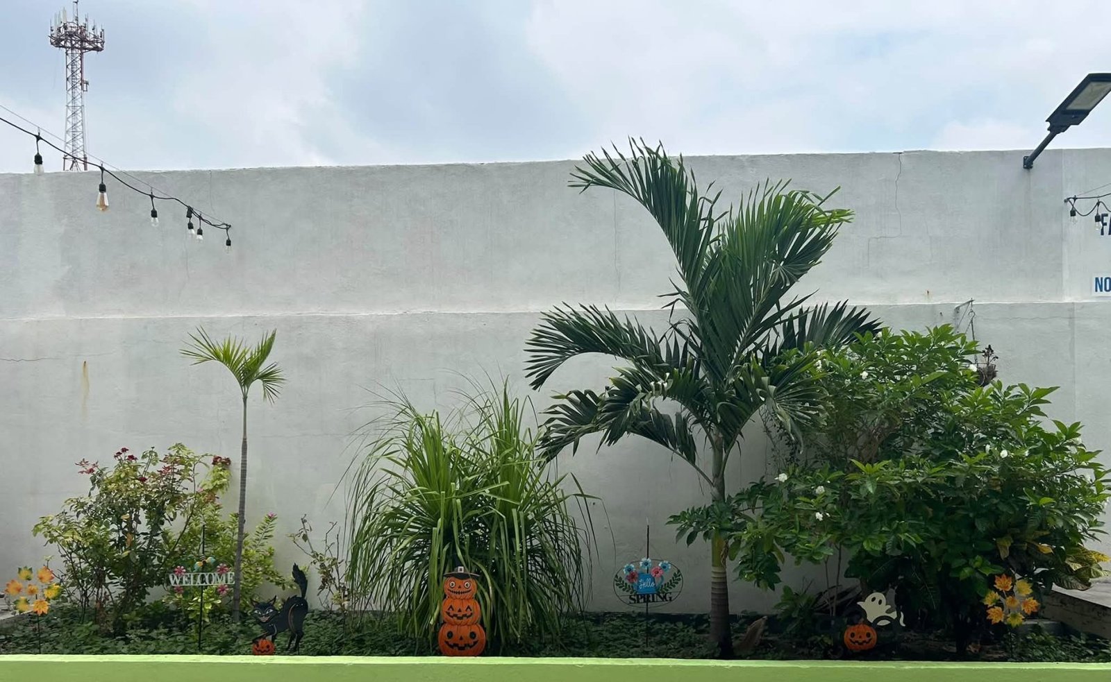 Quinta en Renta