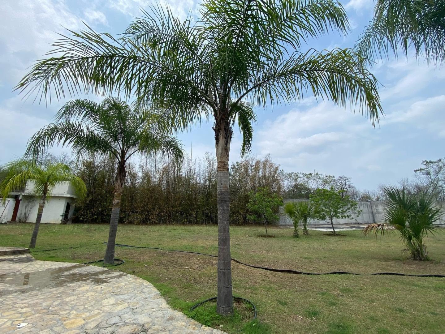 Quinta en Renta