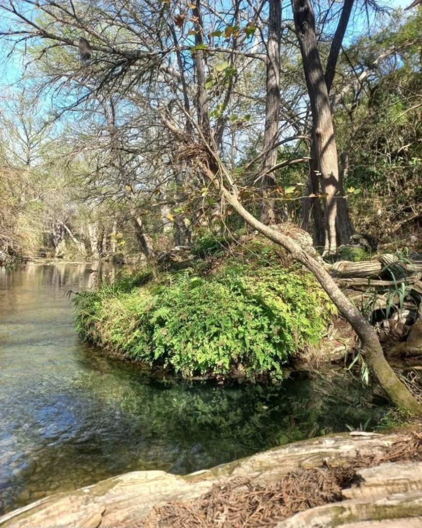 Quinta en Renta